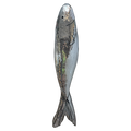 Sardine XL